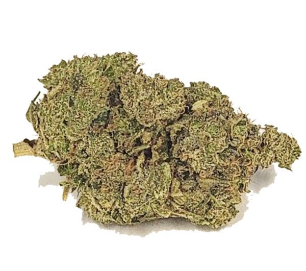 AFGHANI