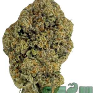 GAS FACE (AAAA+)