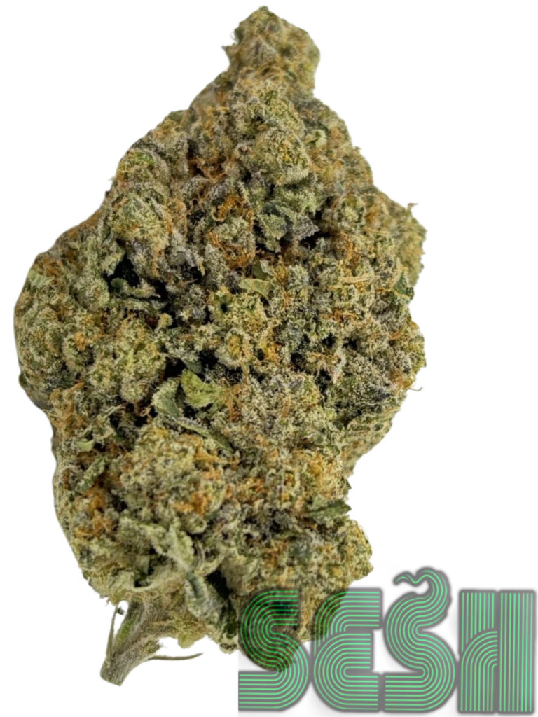 GAS FACE (AAAA+)