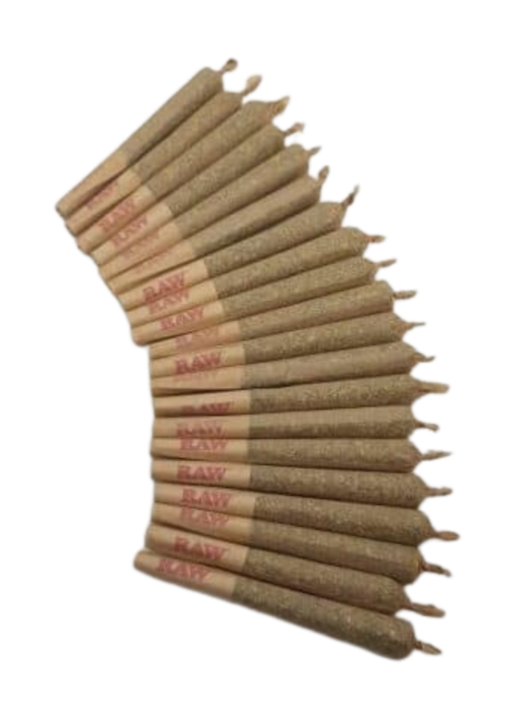SESH PREROLLS