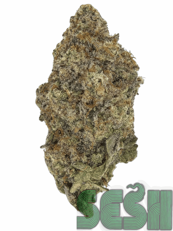 MAC 1 (AAA)