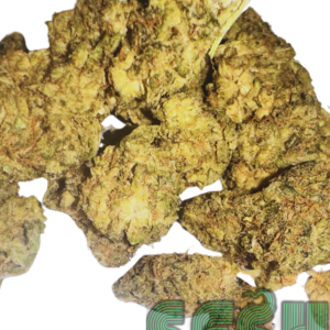 NUKEN (AAA)