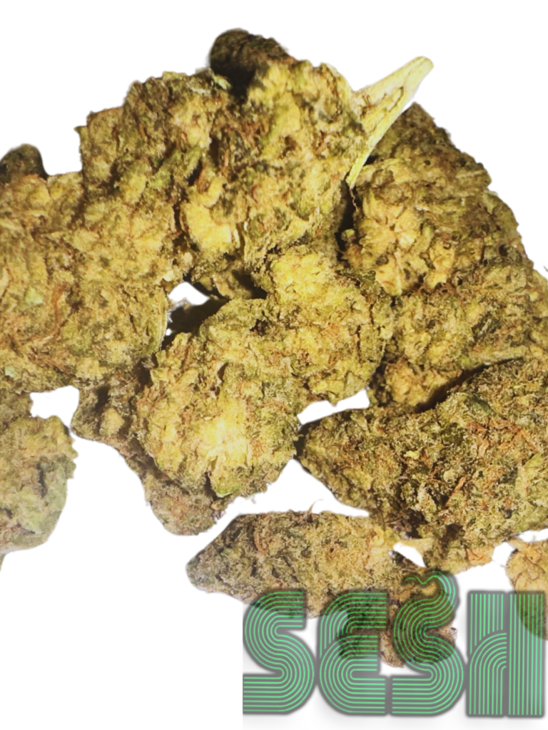 NUKEN (AAA)