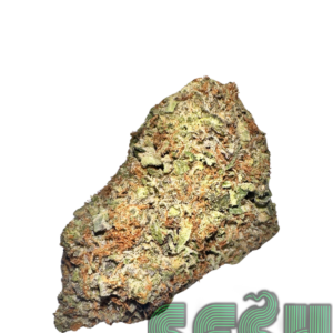 PINK PANTHER
