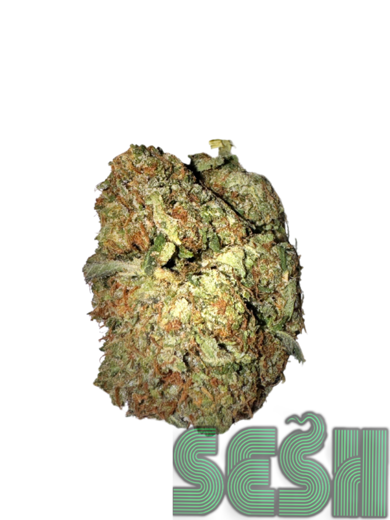 PINK TUNA (AAA+)