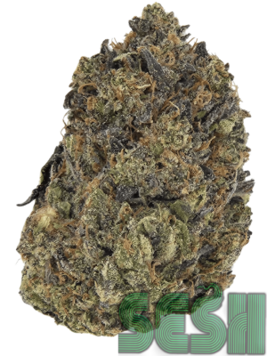 PINK TUNA (AAAA+)