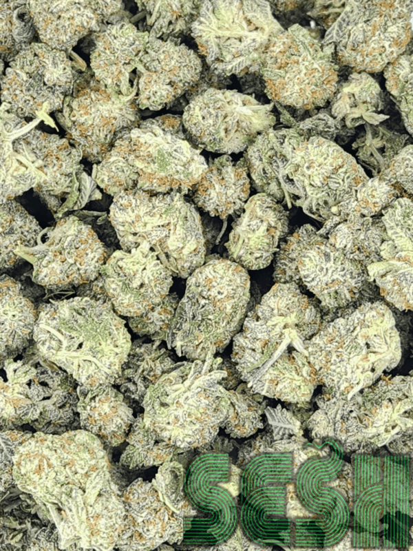 SWEET AMNESIA (AAA)