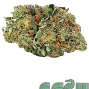 91 CHEMDAWG (AAA)