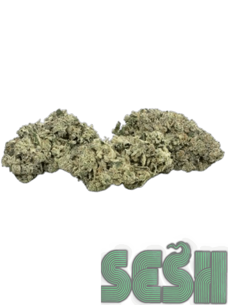 PINK THRASHER (AAAA)