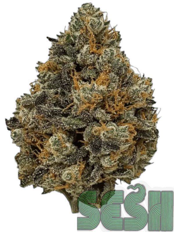 GODFATHER GOO (AAAA)