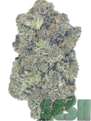 PINK ALPHA🔥⛽(AAAA)
