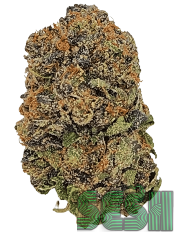 GALAXY PINK🔥⛽