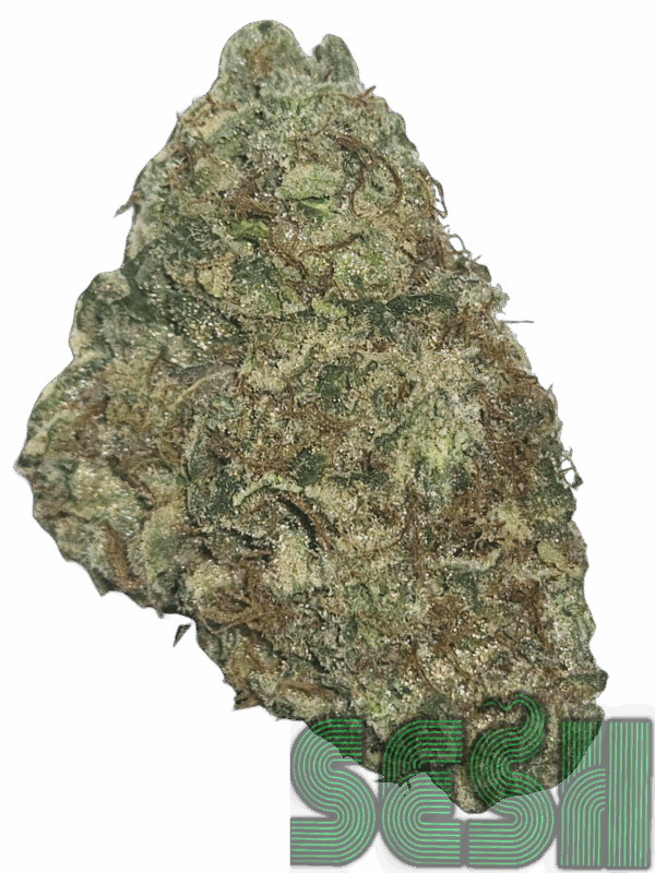 ROCKET FUEL (AAAA)
