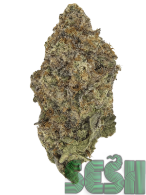 MAC 1 (AAA+)