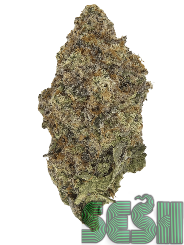 MAC 1 (AAA+)
