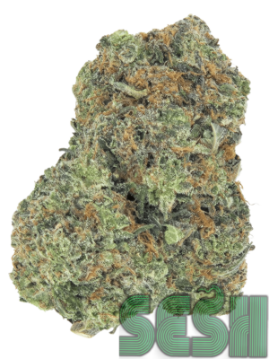 PINK BELLAGIO (AAAA+)