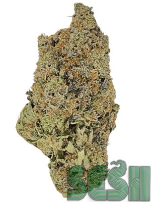 PINK CHERRY (AAAA+)