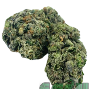 PINK PATRON (AAA)