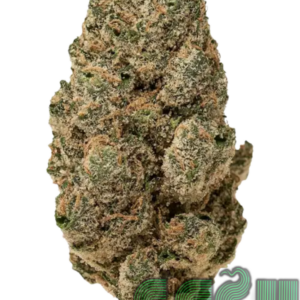 BLACK BREATH (AAA+)