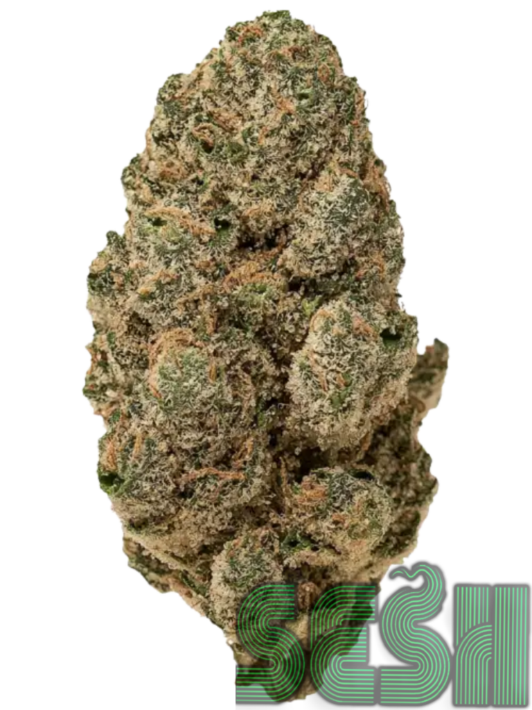 BLACK BREATH (AAA+)