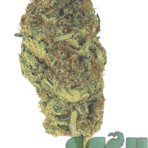 CHEESY DIESEL (AAAA)