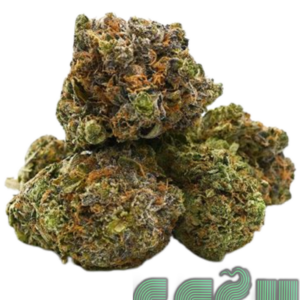 EL CHAPO (AAA+)