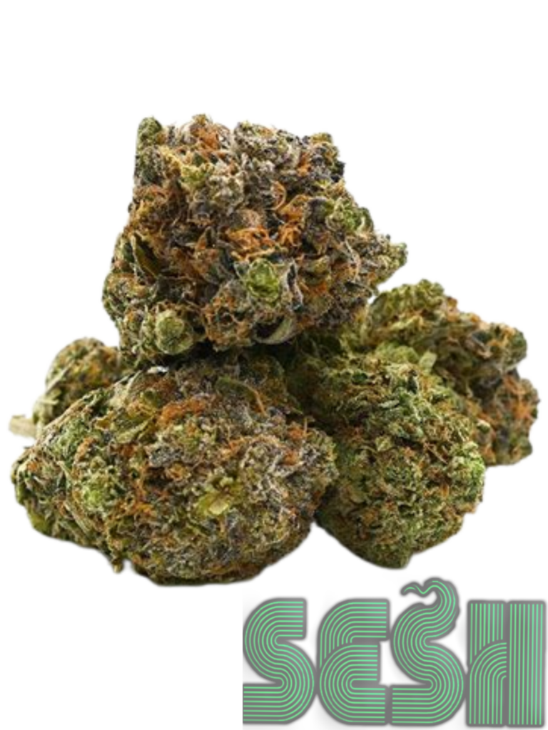 EL CHAPO (AAA+)