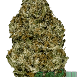LEMON CHERRY (AAA)
