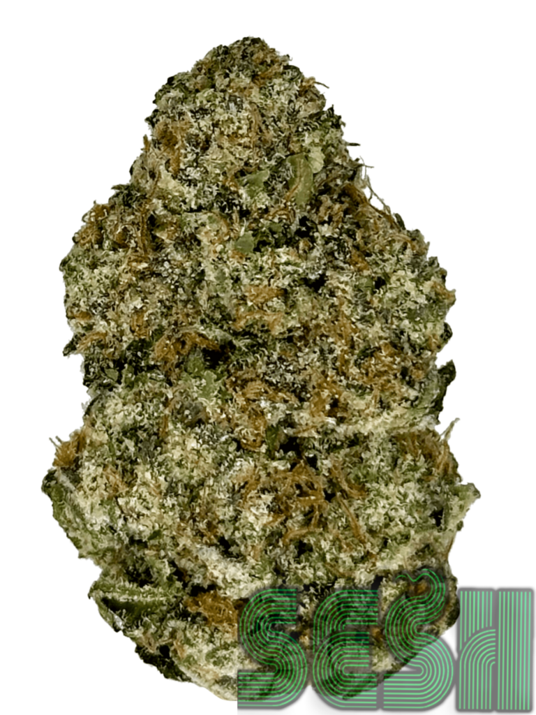 LEMON CHERRY (AAA)
