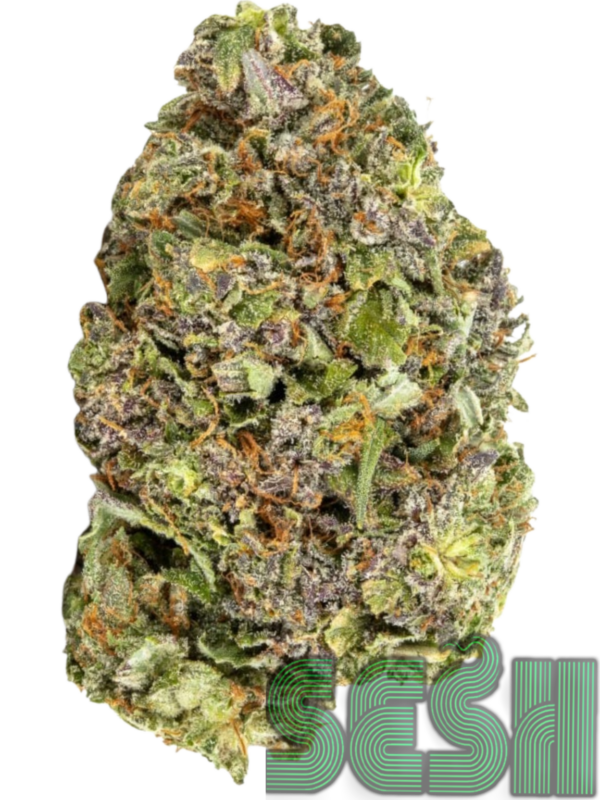 PURPLE CANDY (AAA+)