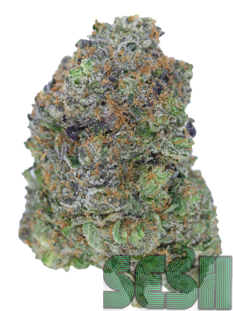 GAS TUNA (AAAA)