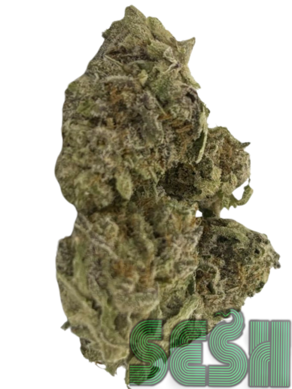 ICE CREAM CAKE (AAA)