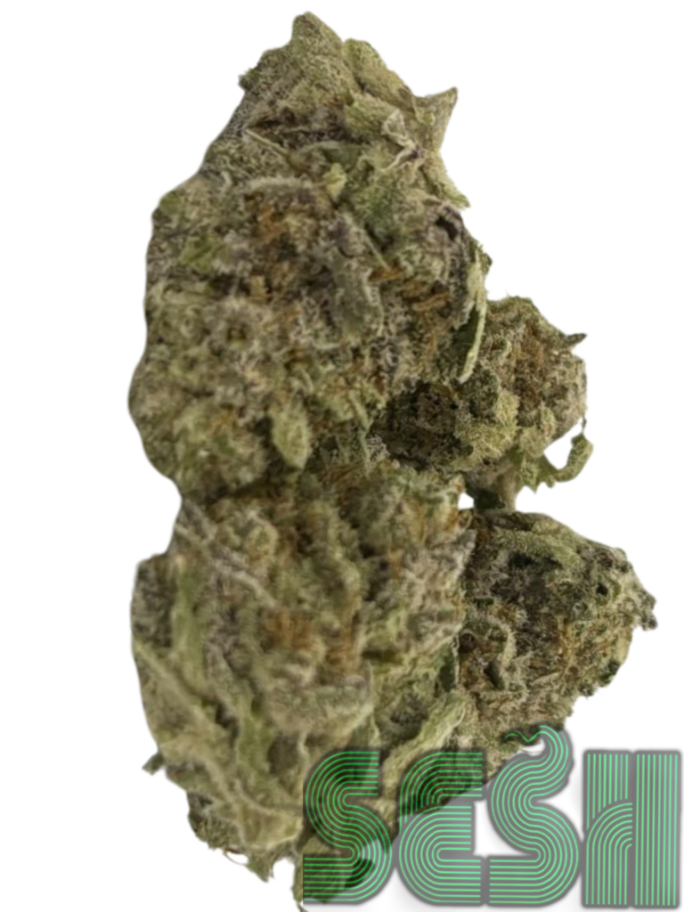 ICE CREAM CAKE (AAA)