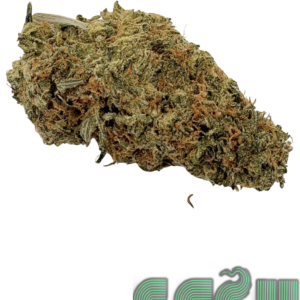 NYC DIESEL (AAA)