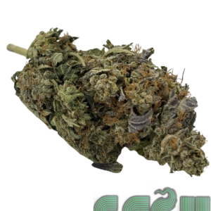 PRE 98 BUBBA (AAA)