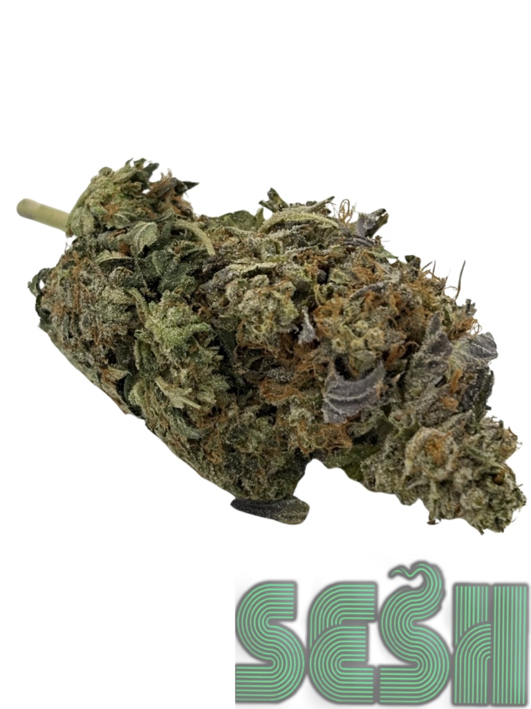 PRE 98 BUBBA (AAA)