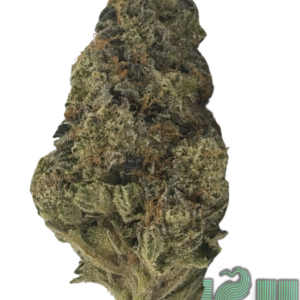 SENSI STAR (AAAA)
