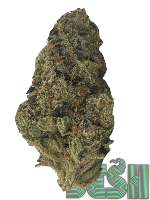 SENSI STAR (AAAA)