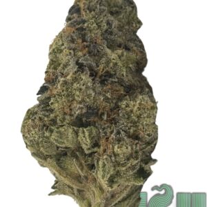 SENSI STAR (AAAA)