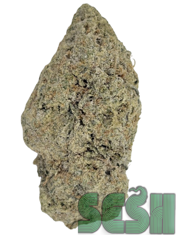 STARDUST: YUKON GOLD /SUPER SILVER HAZE (AAAA)🔥