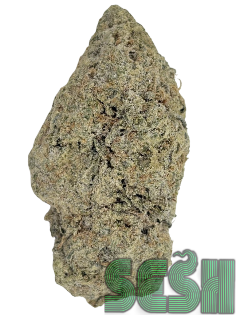 STARDUST: YUKON GOLD /SUPER SILVER HAZE (AAAA)