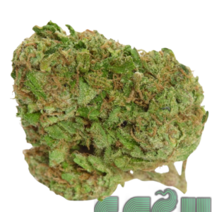 BLOOD ORANGE (AAAA)