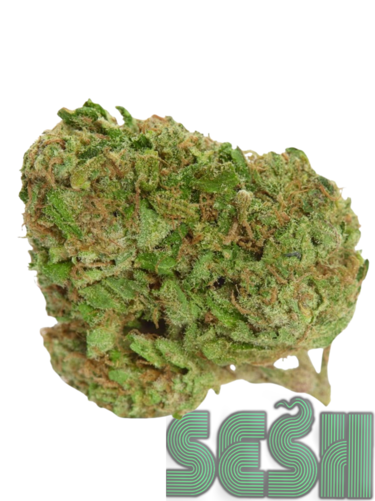 BLOOD ORANGE (AAAA)