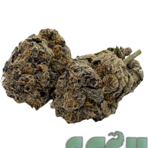 BRASS KNUCKLES (AAAA)🔥