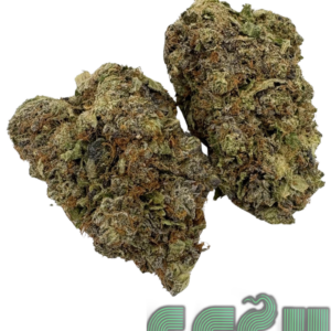 GAS MASK (AAAA)