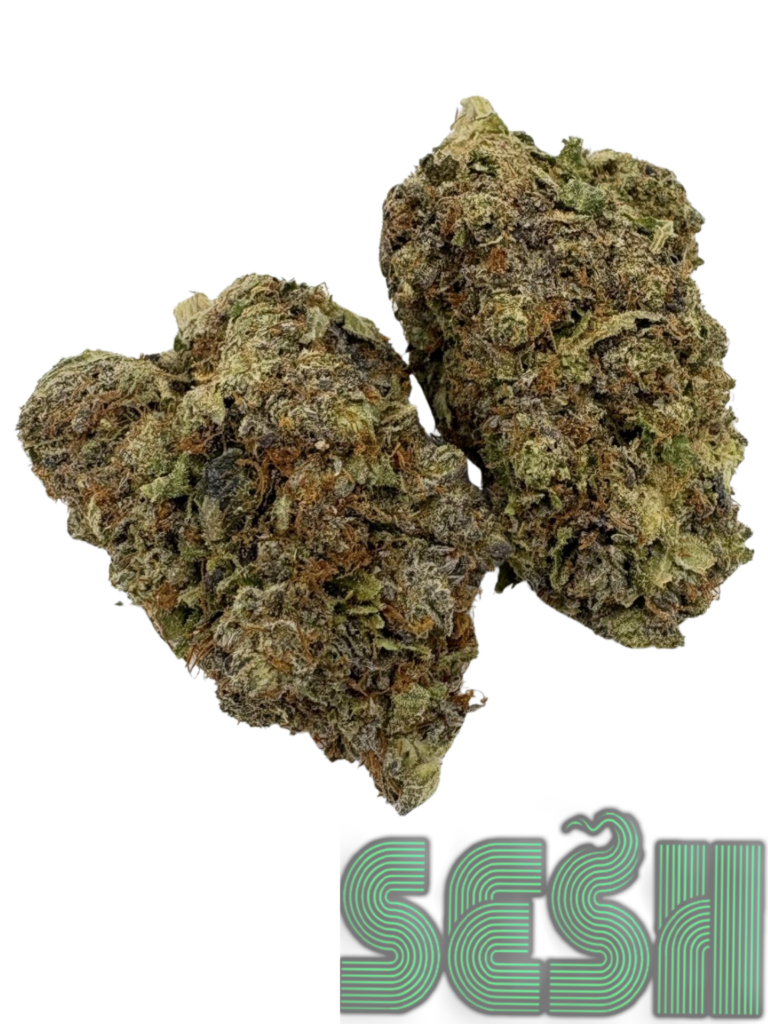 GAS MASK (AAAA)