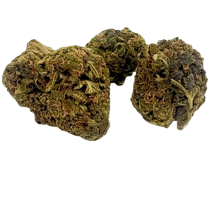 MOBY DICK (AA+)