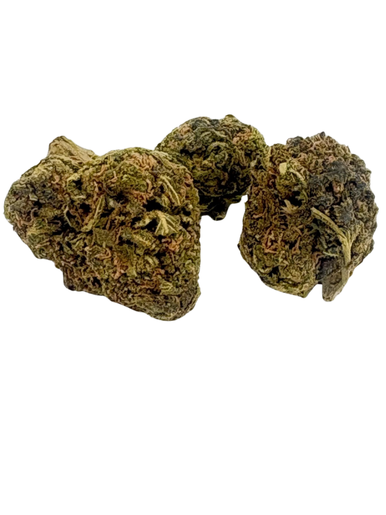 MOBY DICK (AA+)
