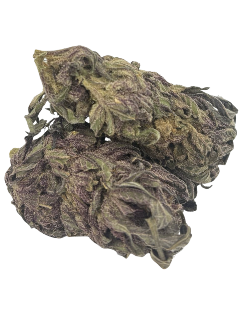 PURPLE SQUIRREL (AA+)