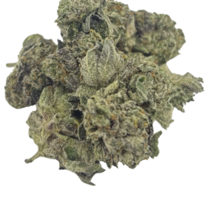 PASSOUT PINK LSO (AAAA)